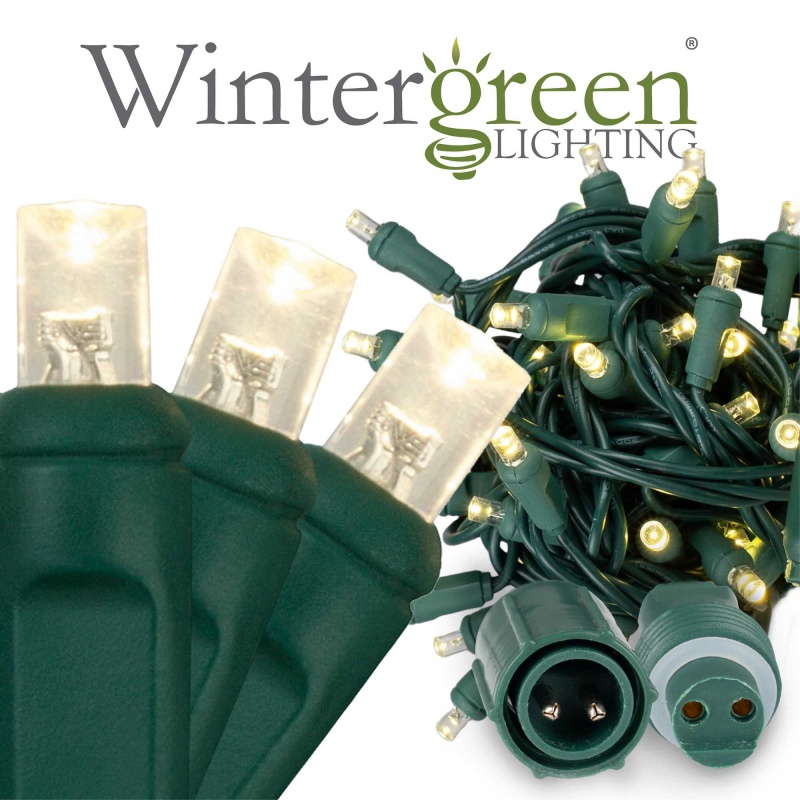 Weatherprotm Commercial 5mm Wide Angle Warm White LED Christmas Lights on Green Wire