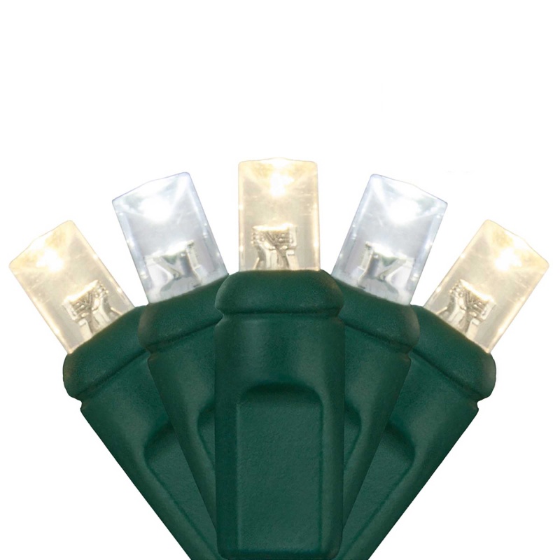 5Mm Wide Angle Cool White, Warm White Champagne Led Christmas Lights On Green Wire