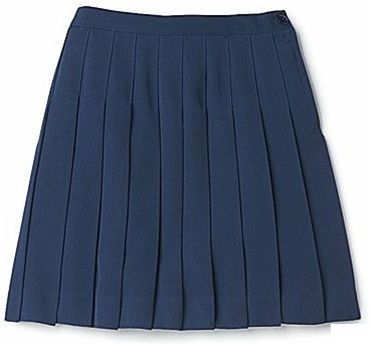 Wholesale Girl's School Uniform Pleated Skirt In Navy, Case Of 24