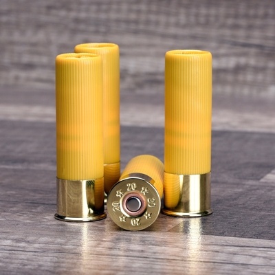 Cleanshot Shoot Through Gun Bore Cleaner 20 Ga. 4-Pack!