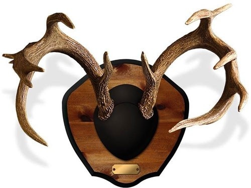 Mountain Mike's Deer Antler Plaque Master Classic Kit