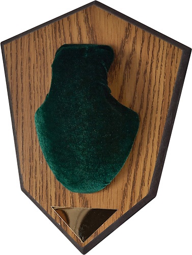 Allen Antler Mounting Kit Green
