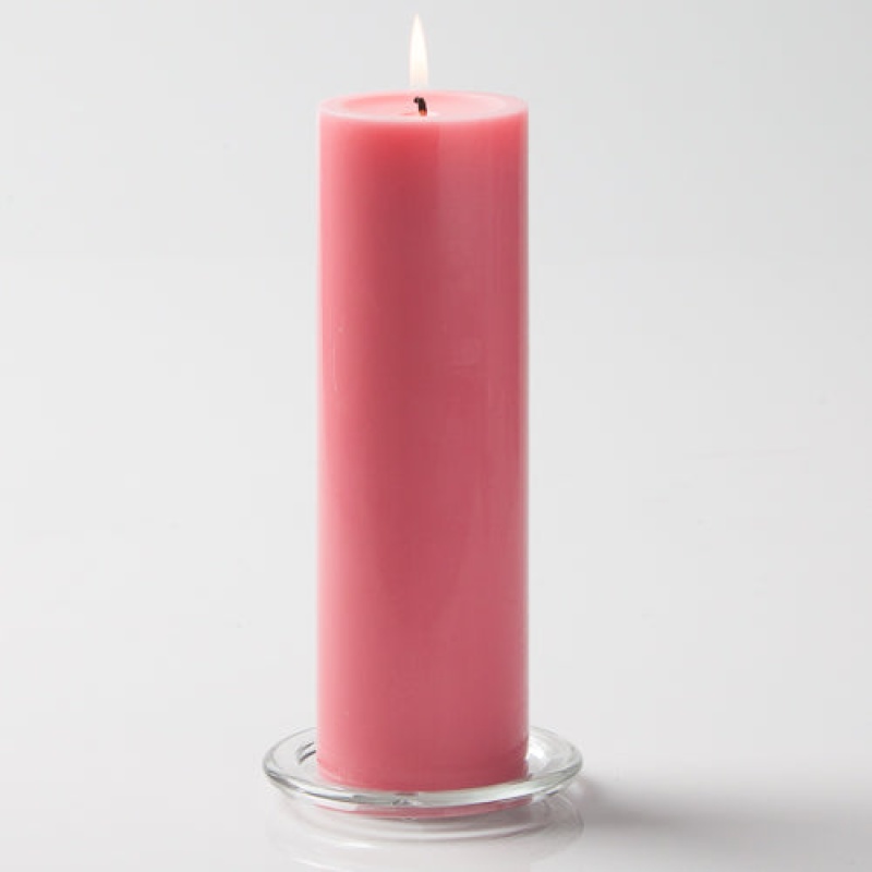 Richland Pillar Candles 3"X9" Pink Set Of 6